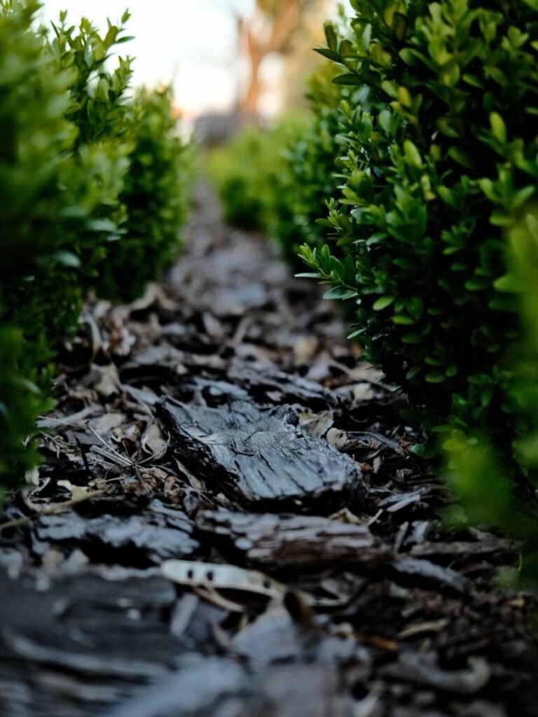 Can You Mulch Over Leaves in Your Garden