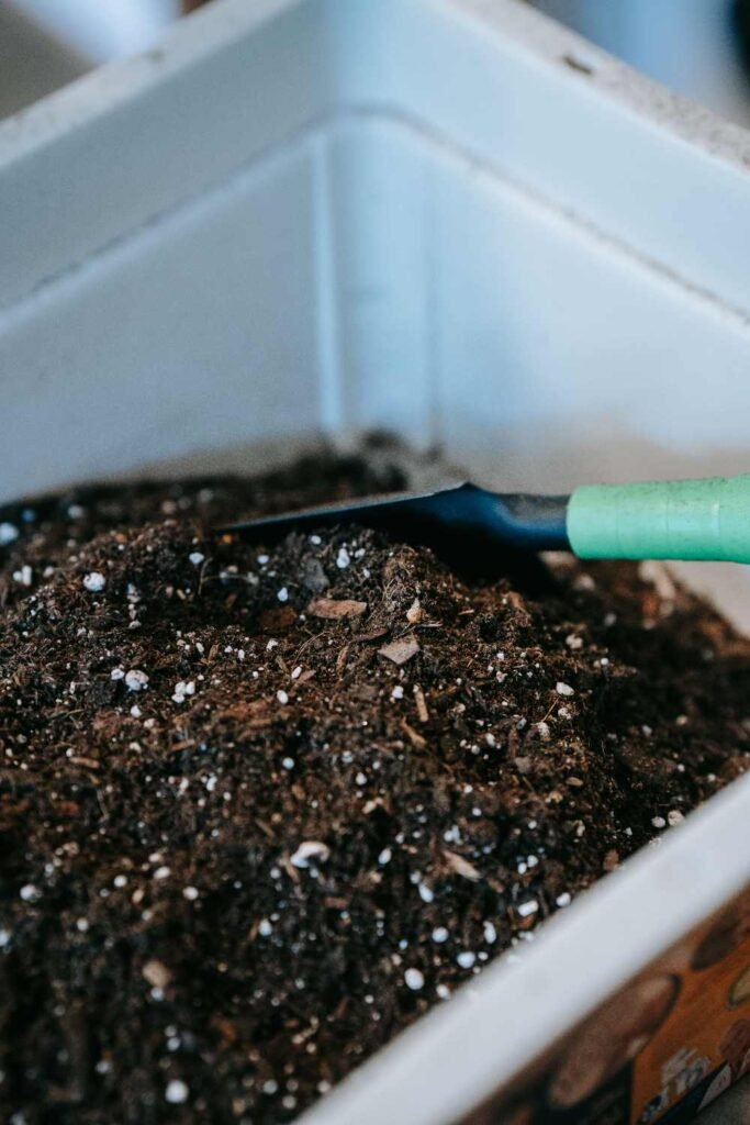 Is Mulch Good for Plants