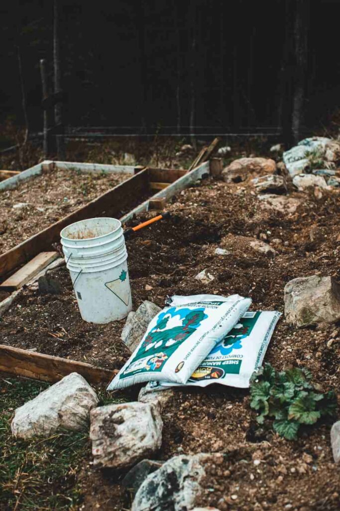 Using Wood Chips for Garden Mulch2