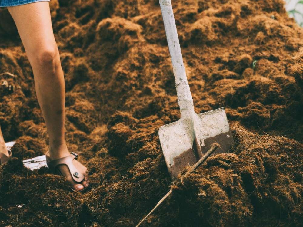 Does Mulch Contain Fertilizer and Can It Feed Your Garden Does Mulch Contain Fertilizer