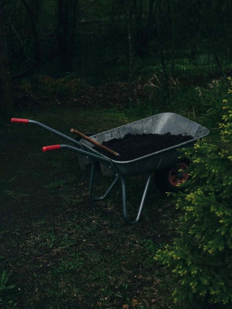 Does Mulch Contain Fertilizer