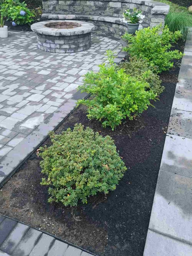 How Long Does Mulch Need to Age