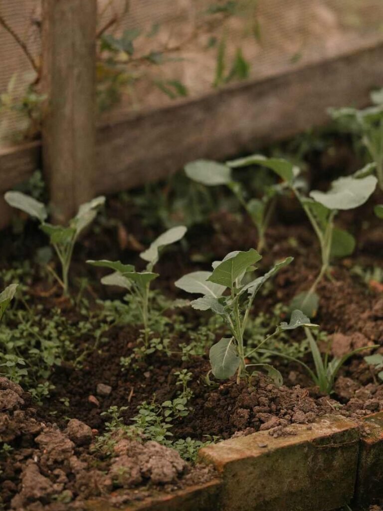 How to Make Mulch Without a Wood Chipper