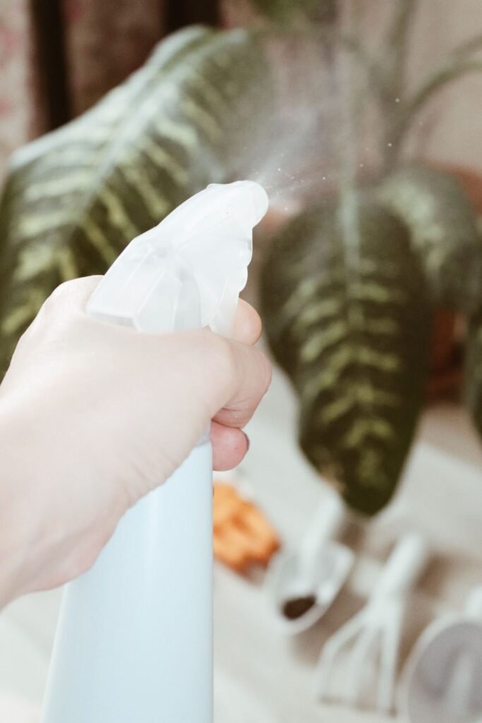 Why Is My Dieffenbachia Wilting3
