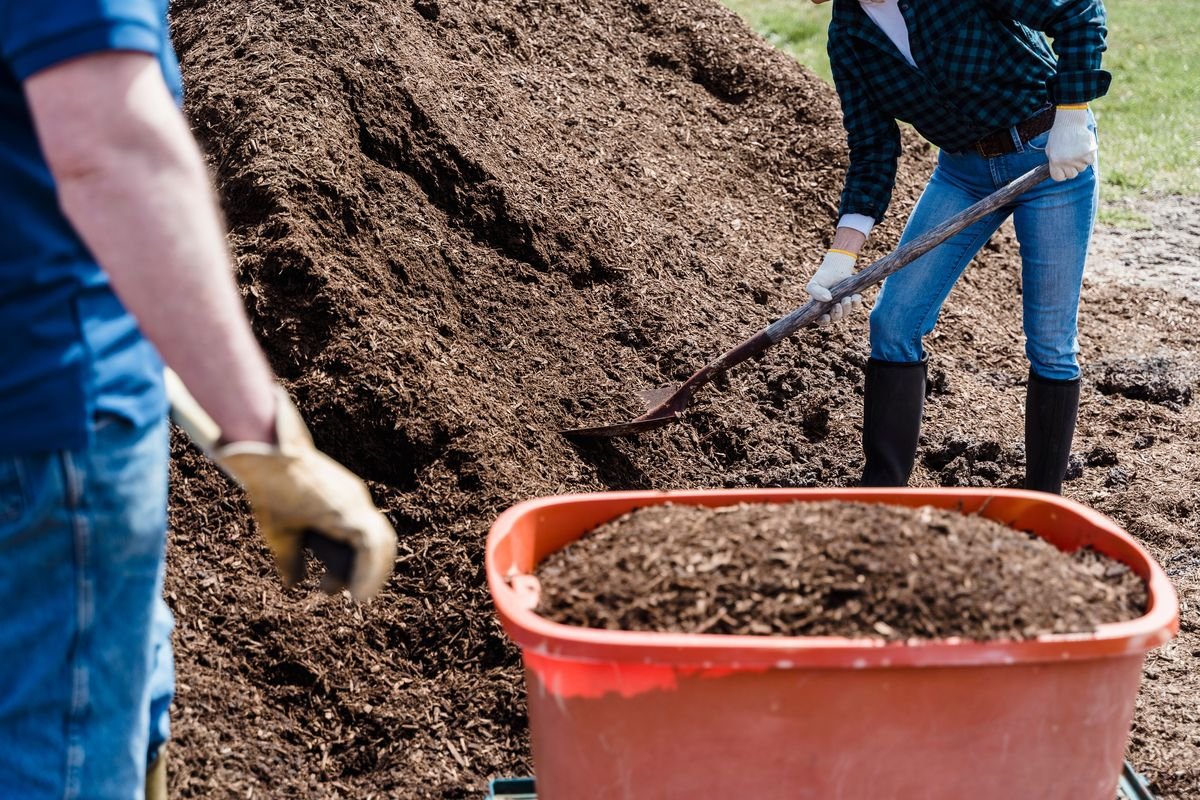 Using Wood Chips for Garden Mulch