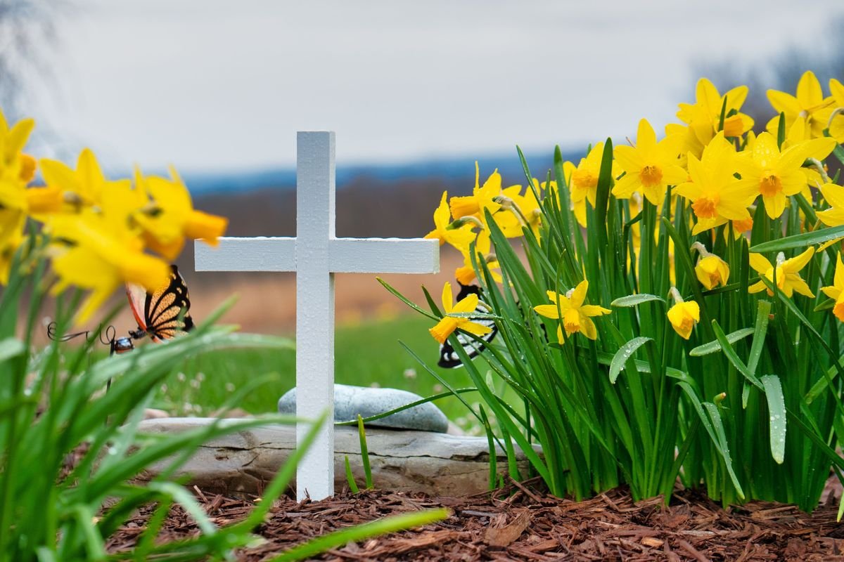 Can You Plant Flowers in Mulch and Keep Them Healthy