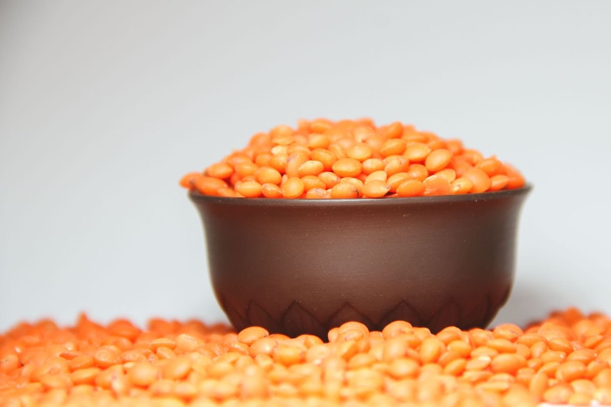 High Protein Crops You Can Grow in Your Home Garden