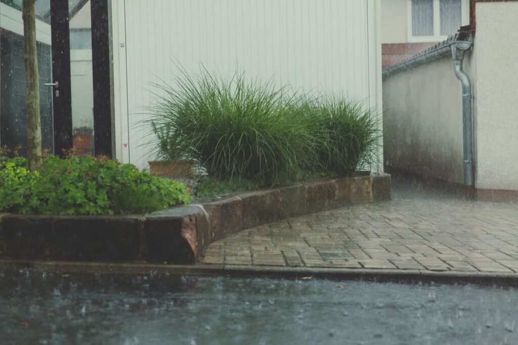 Rainwater Harvesting Guide for Beginners and Gardeners Rainwater Harvesting Guide for Beginners and Gardeners