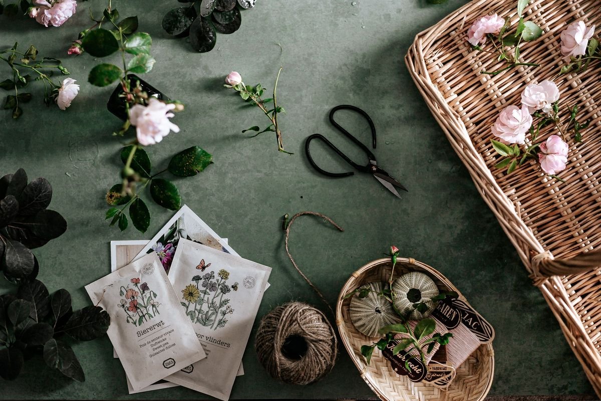 Why Growing Plants from Seed Is Worth the Effort