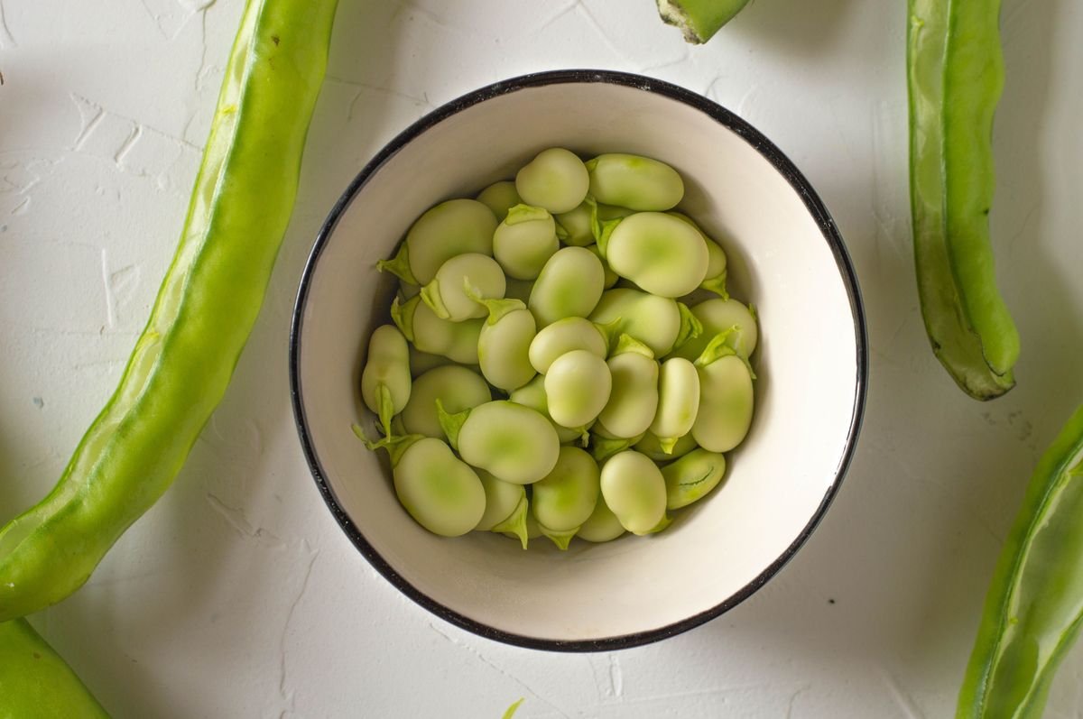 High Protein Crops You Can Grow in Your Home Garden