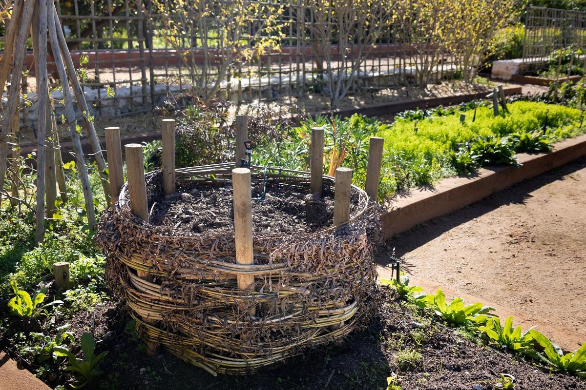 How to Get Rid of Mice in Your Garden Naturally
