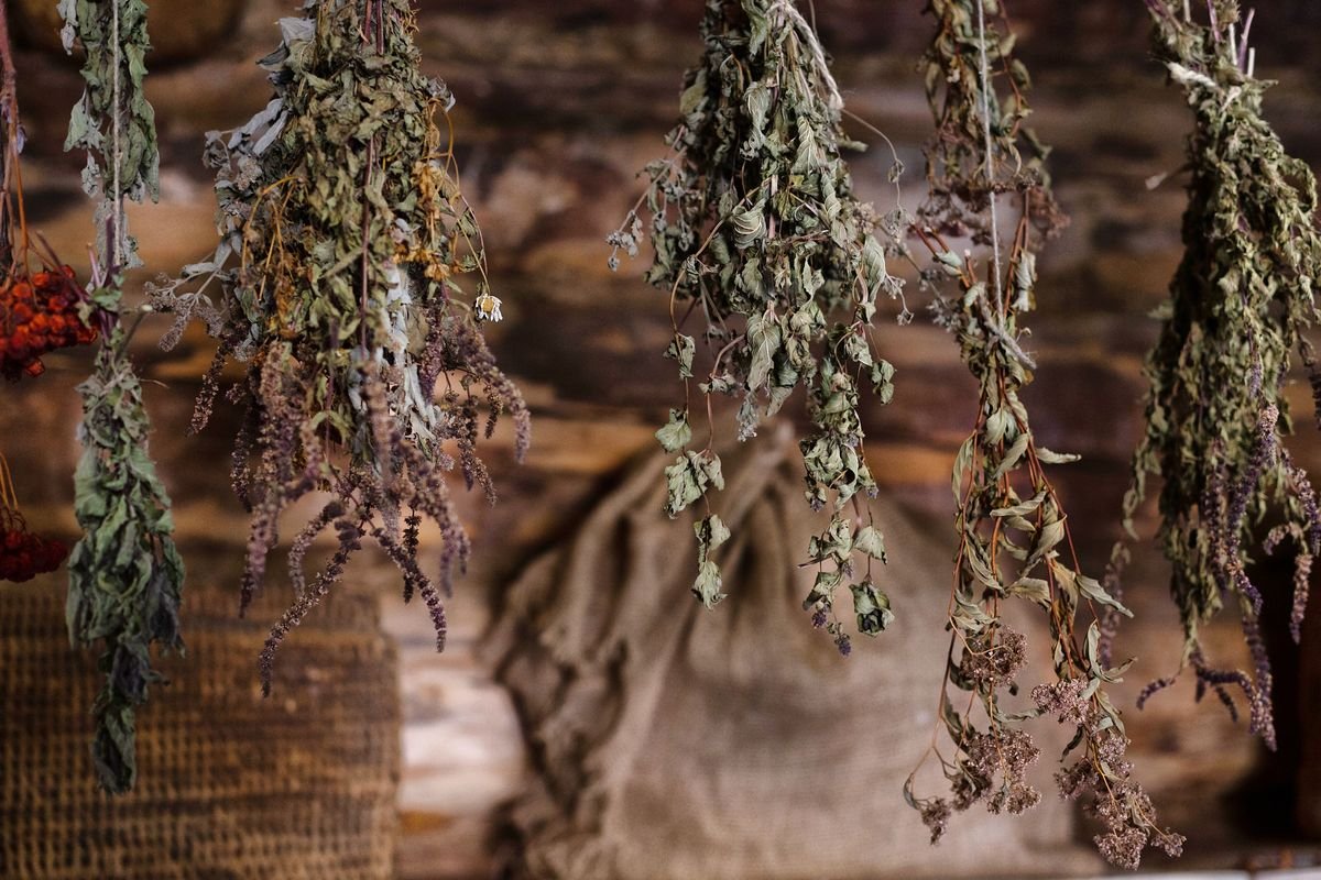 Natural Garden Plants That Deter Bed Bugs