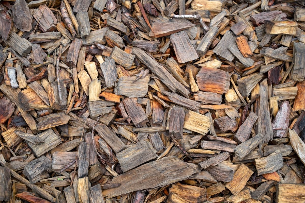 Is Mulch Good for Plants and How to Use It