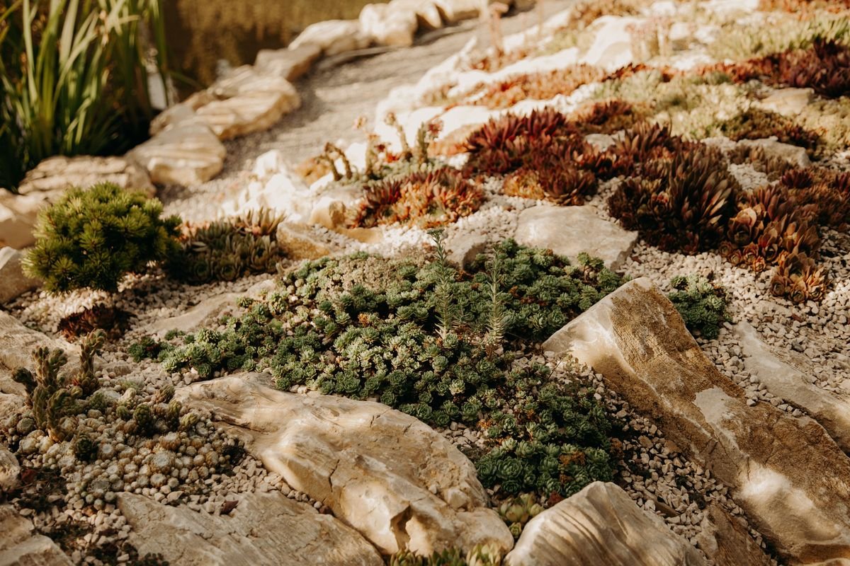 How to Use Mulch to Protect Soil and Cut Gardening Time