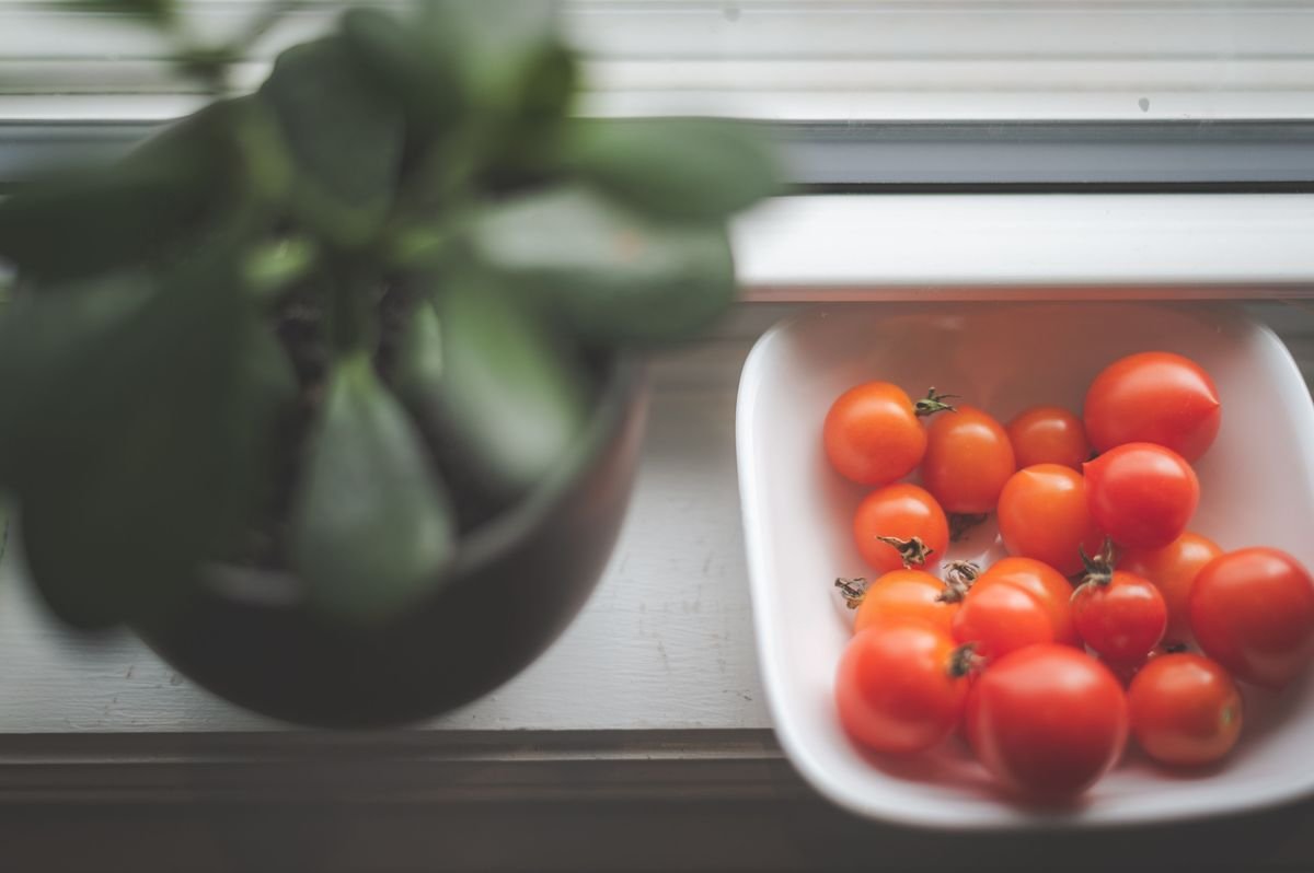 How to Grow a Thriving Vegetable Garden in Fifteen Minutes a Day