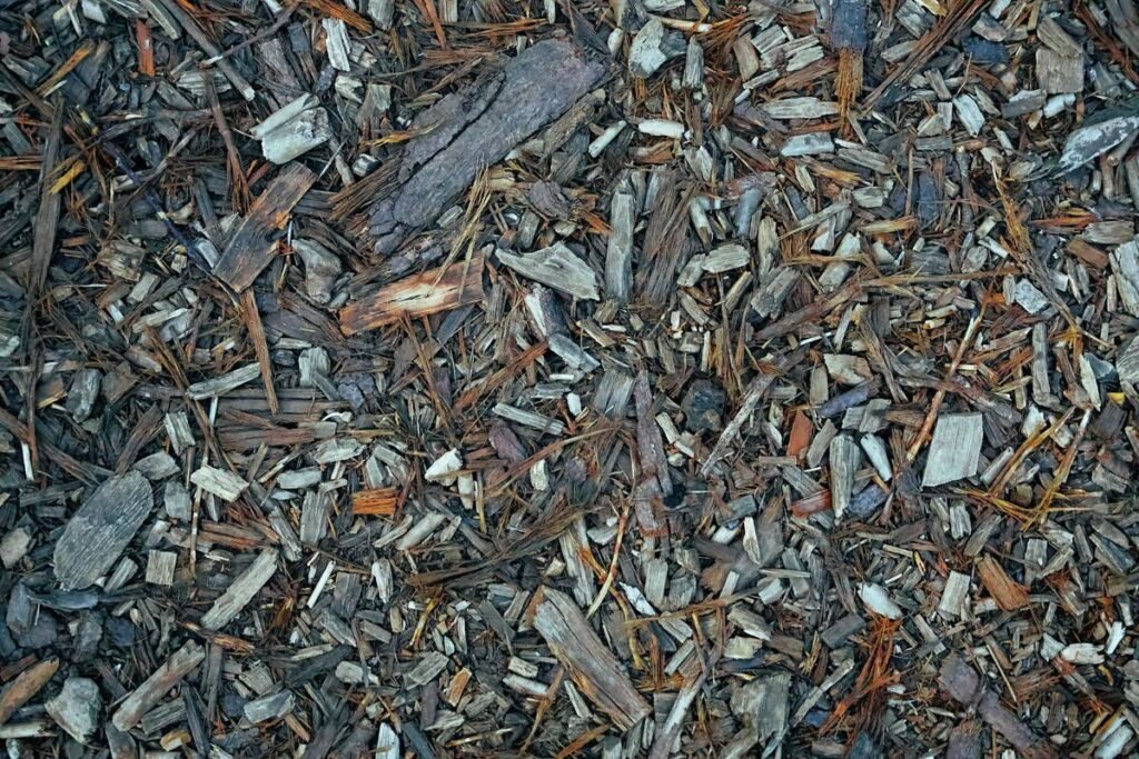 Using Shredded Paper as Garden Mulch: Pros, Cons, and Best Methods Using Shredded Paper as Garden Mulch: Pros, Cons, and Best Methods
