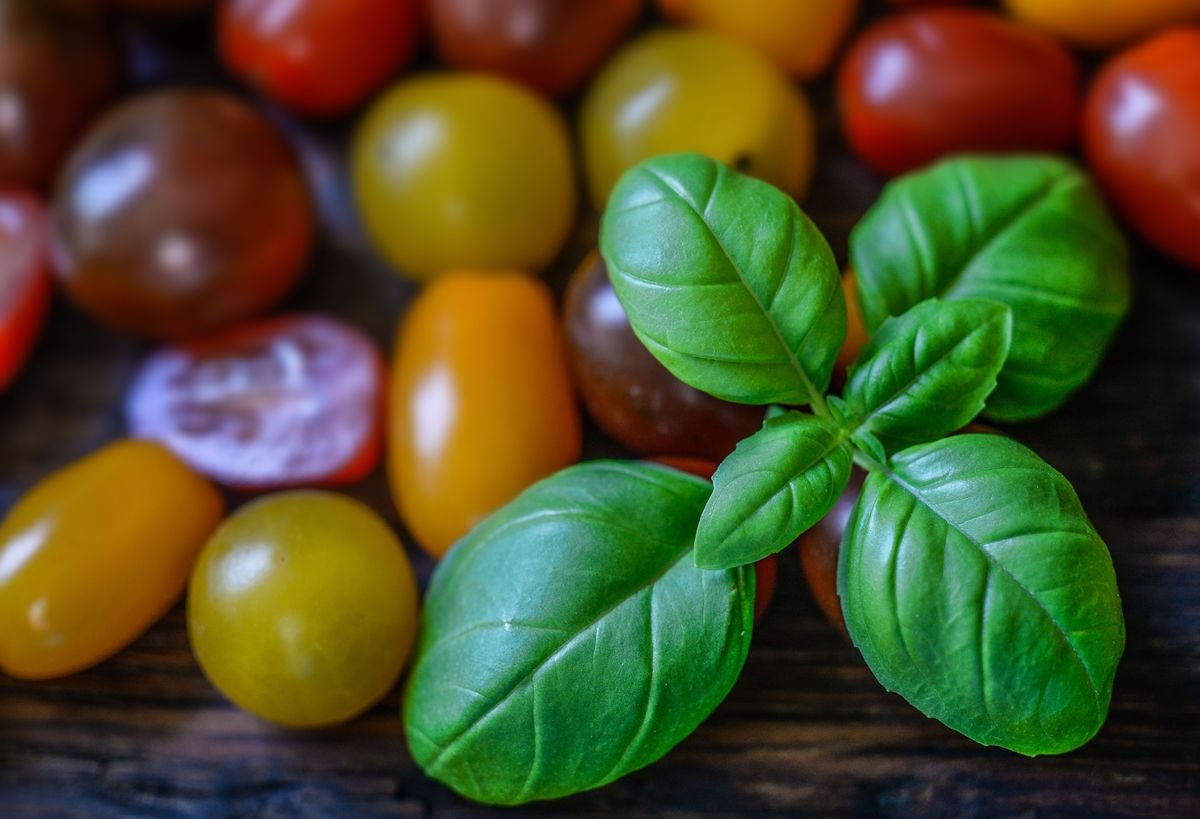 Companion Planting in Raised Bed Gardens for Bigger Harvests