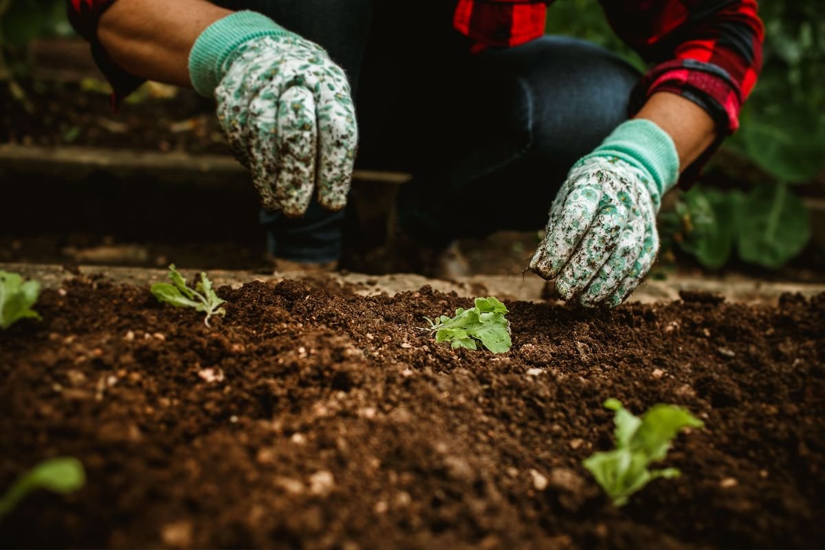 How to Nurture Your Mental Garden for Real Personal Growth