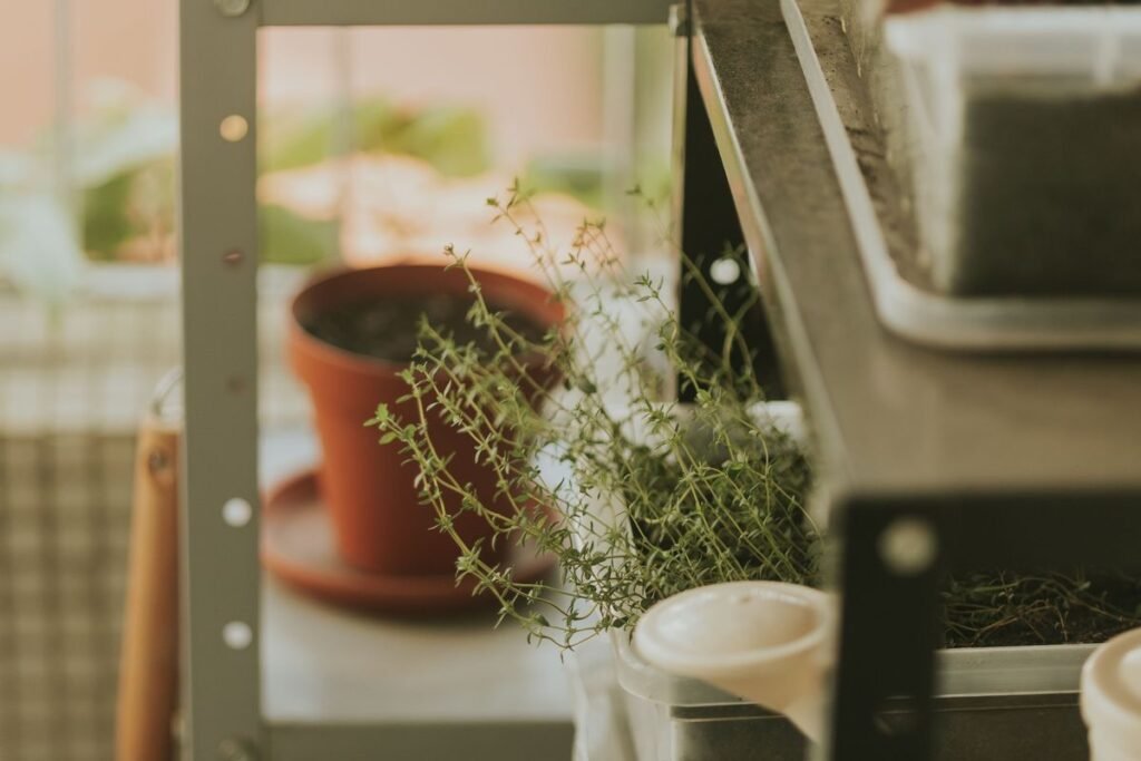 How to Grow Your Own Food in a Small Apartment How to Grow Your Own Food in a Small Apartment