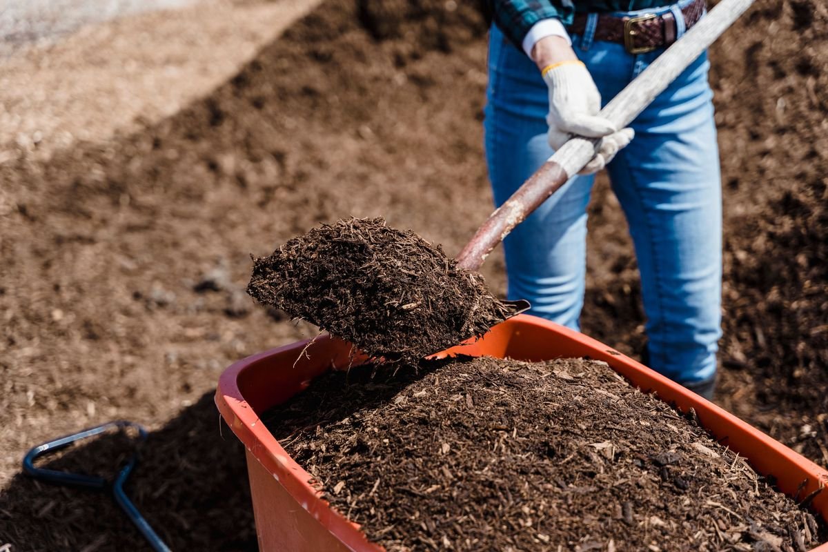 How Long Does Mulch Need to Age and Ways to Speed It Up