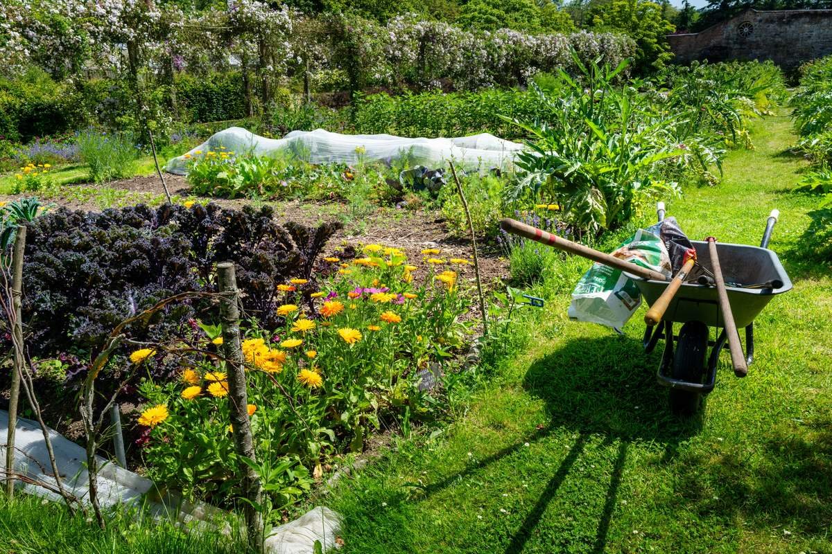 Can You Mulch Over Seeds