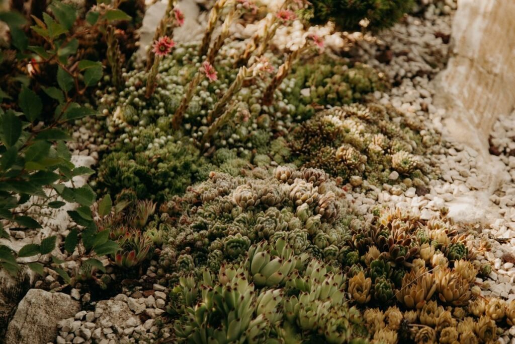 Smart Ways to Grow a Thriving Garden with Less Water Smart Ways to Grow a Thriving Garden with Less Water