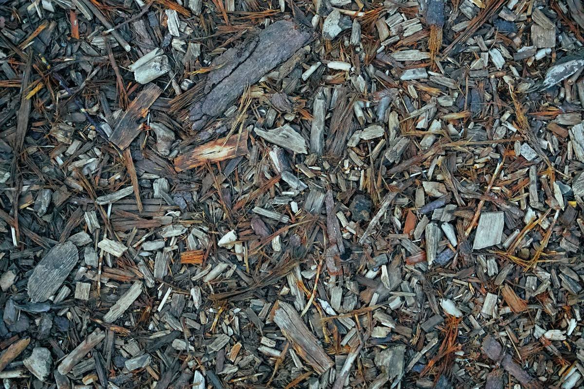 Why Garden Mulch Gets Moldy and How to Fix It