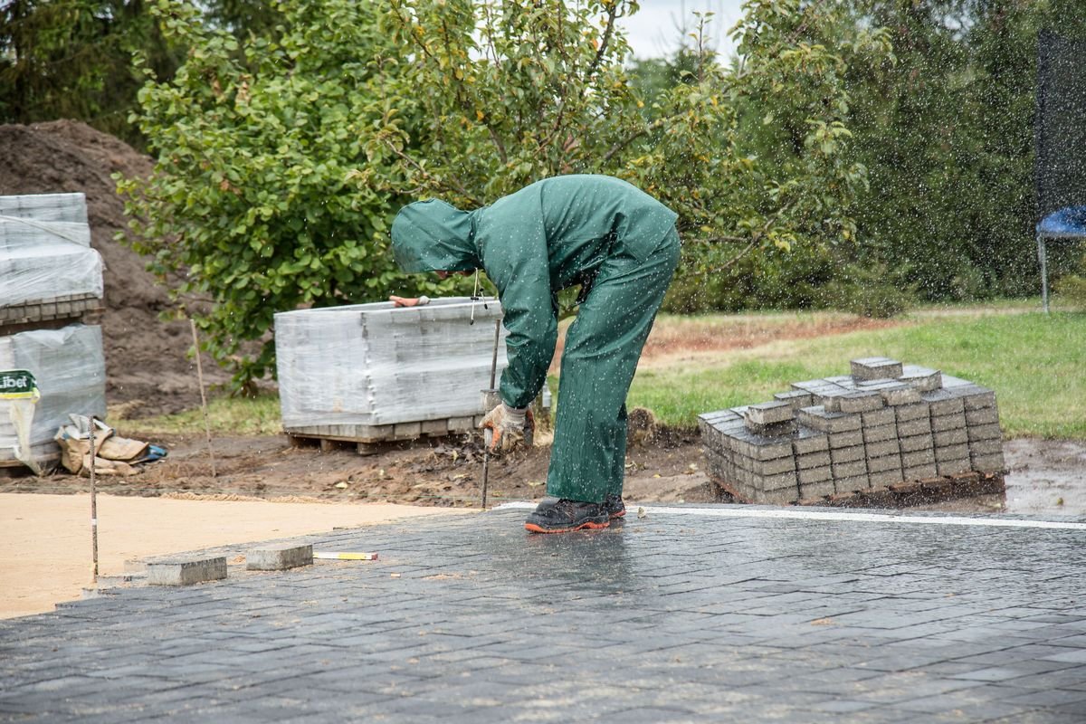 Rainwater Harvesting Guide for Beginners and Gardeners