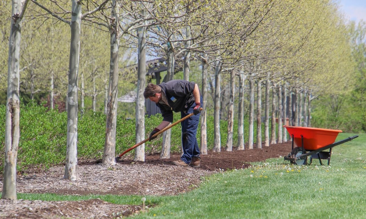 Can You Mix Rubber Mulch With Wood Mulch in the Garden