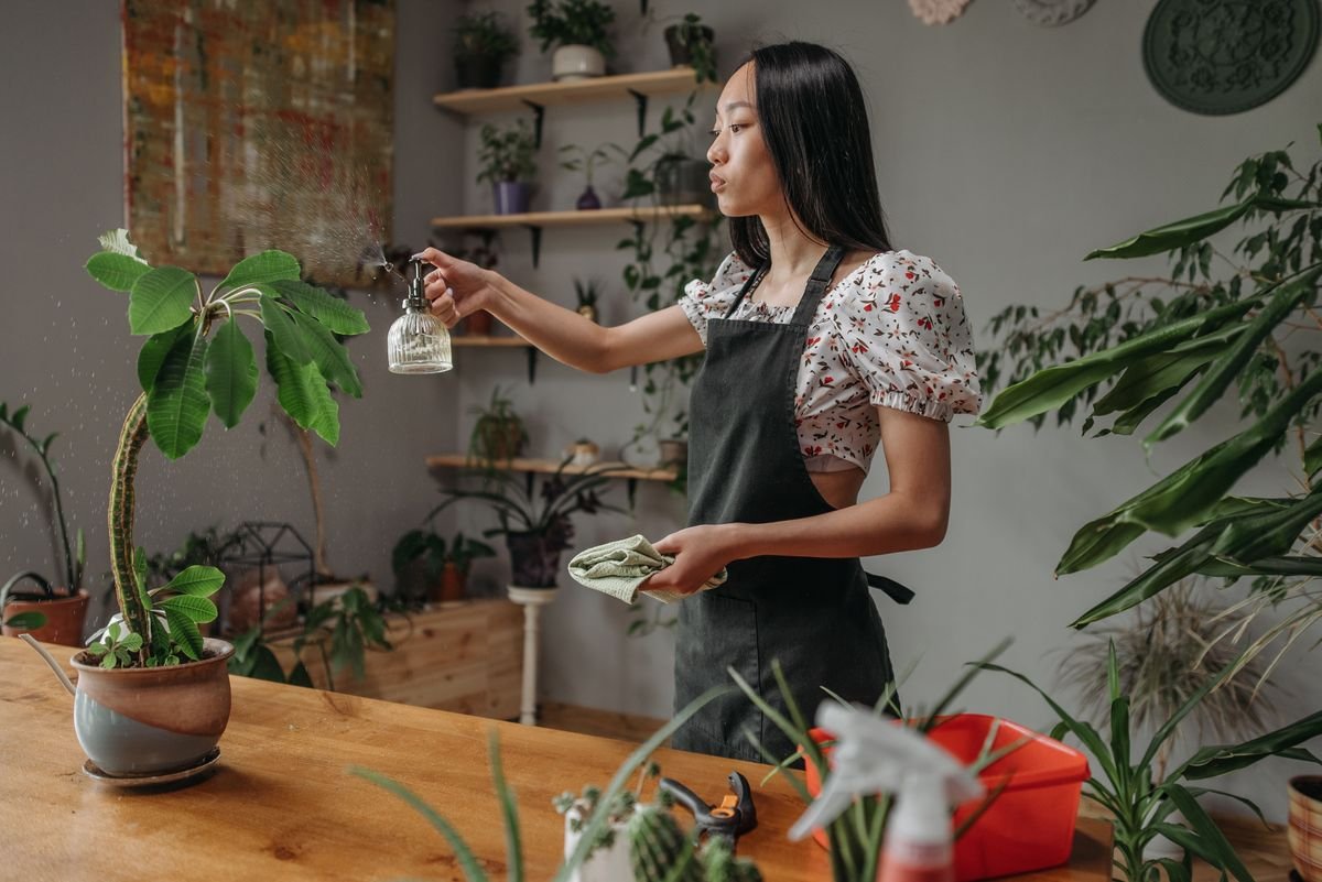 Why Your Dieffenbachia Has Small Leaves and How to Fix It