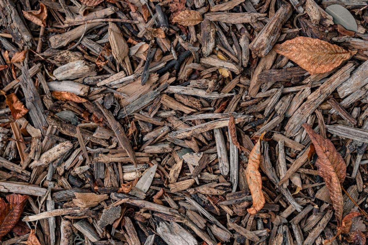 Using Wood Chips for Garden Mulch