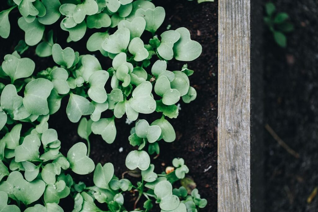 Why Plants Need Nitrogen and How to Spot a Deficiency Why Plants Need Nitrogen and How to Spot a Deficiency