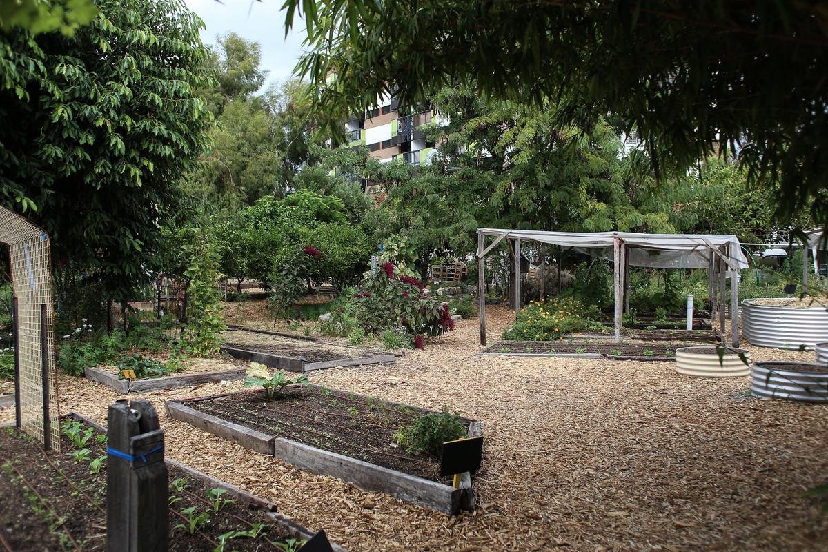 How to Protect Your Spicy Crops from Frost and Extreme Heat