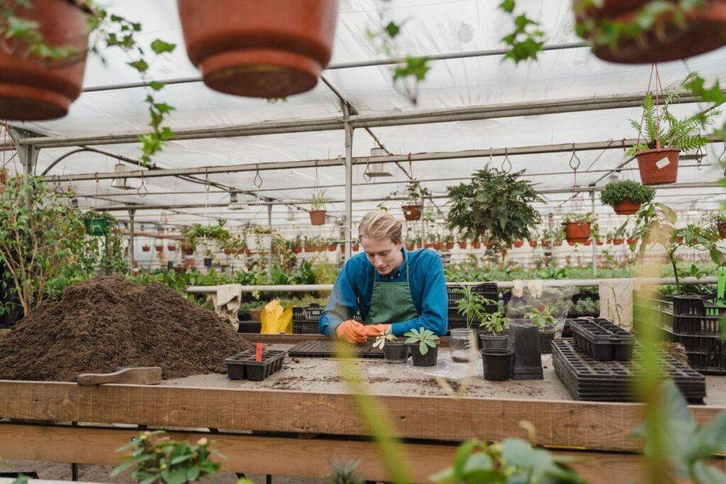 How to Adapt Your Mindset to Your Changing Garden How to Adapt Your Mindset to Your Changing Garden