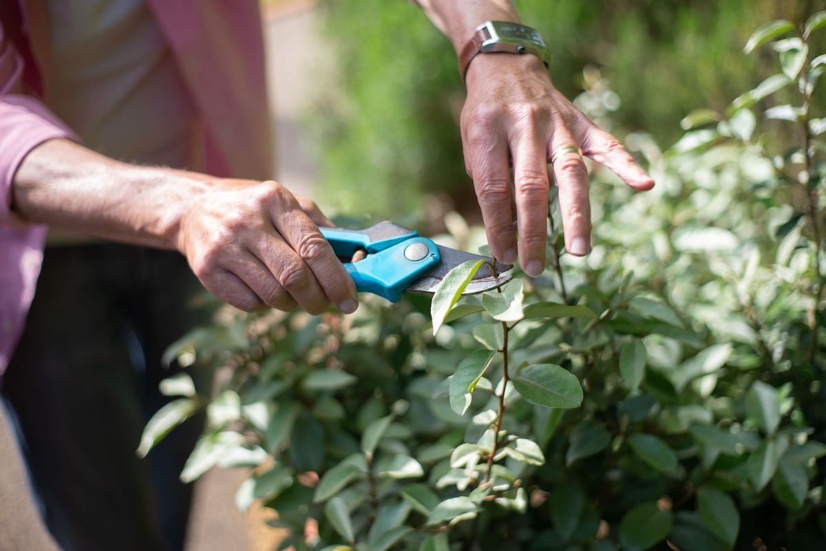 Simple Gardening Hacks That Will Save You Hundreds of Dollars