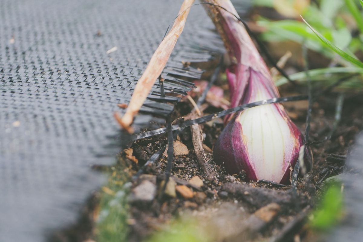 Will Mulch Stop Your Plants from Spreading in the Garden