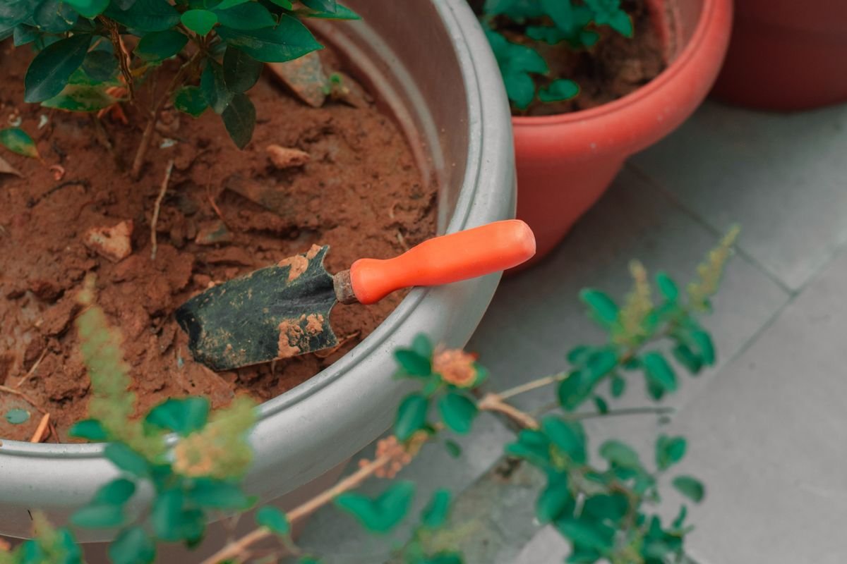 How to Rejuvenate Old Potting Soil for Healthy Plants