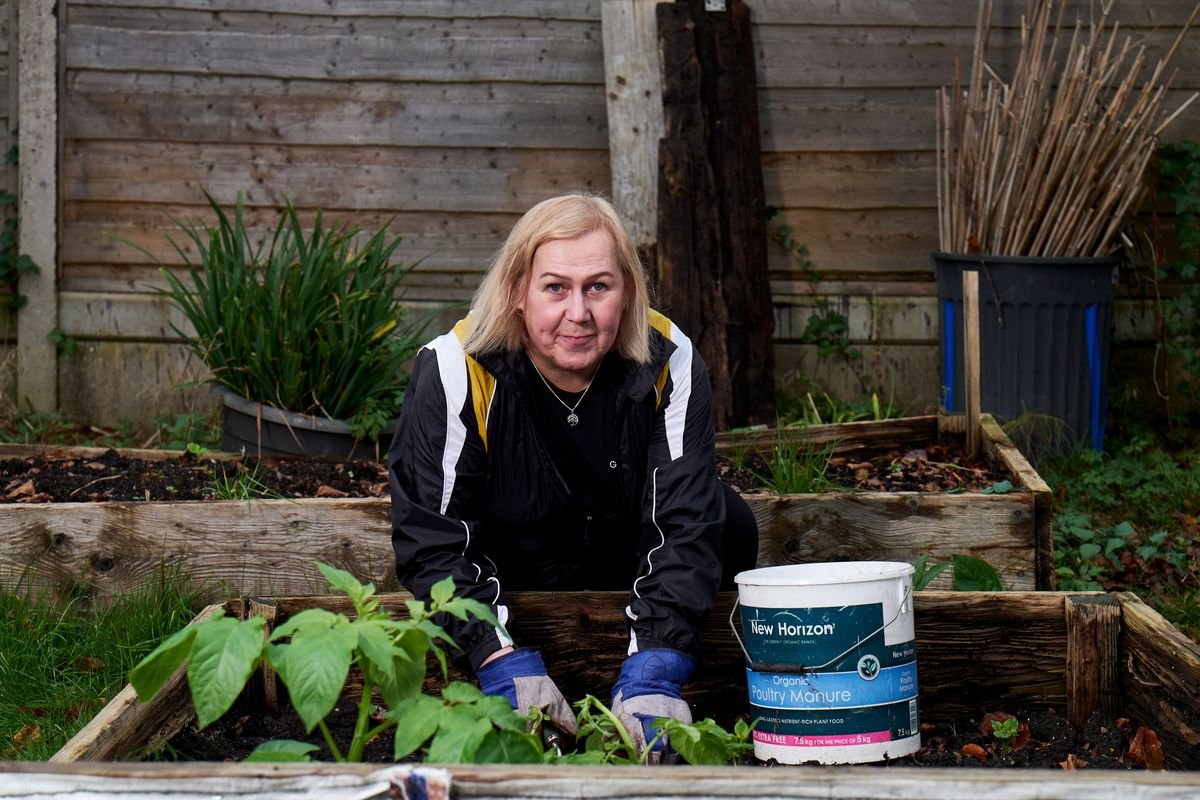 What to Do with Old Garden Soil to Revive Your Plants