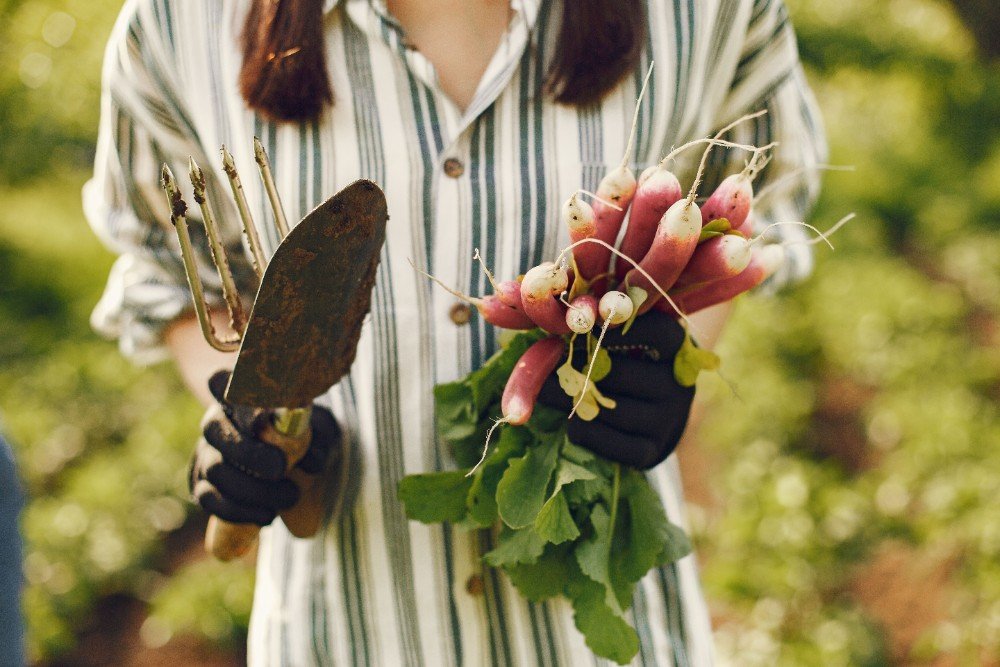 Garden Meal Planning Tips to Cut Grocery Costs Garden Meal Planning Tips to Cut Grocery Costs