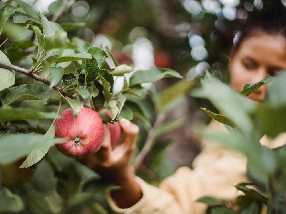 Pruning Mistakes That Delay Growth