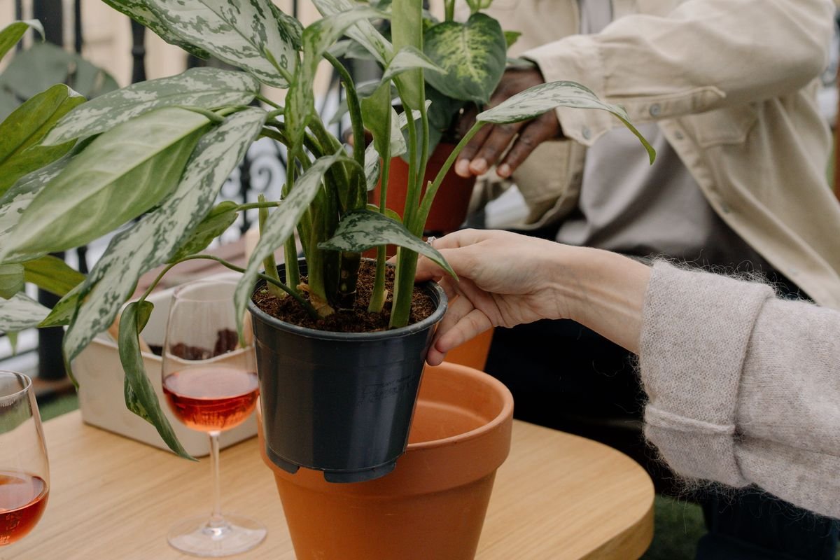 The Biggest Mistake Gardeners Make That Destroys Soil Health