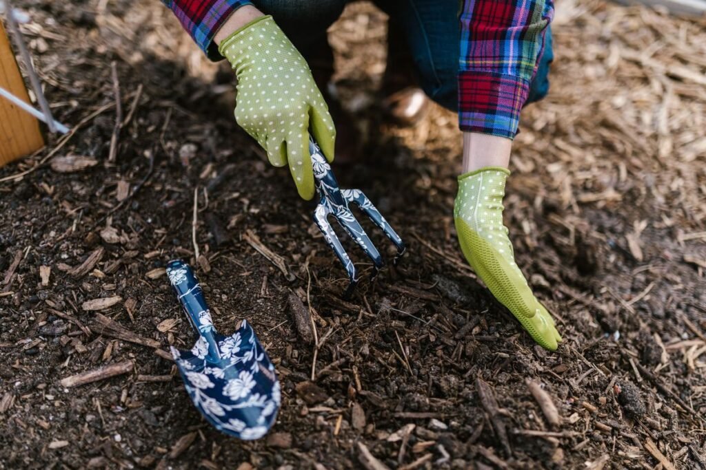 Is Mulch Good for Plants and How to Use It Is Mulch Good for Plants and How to Use It
