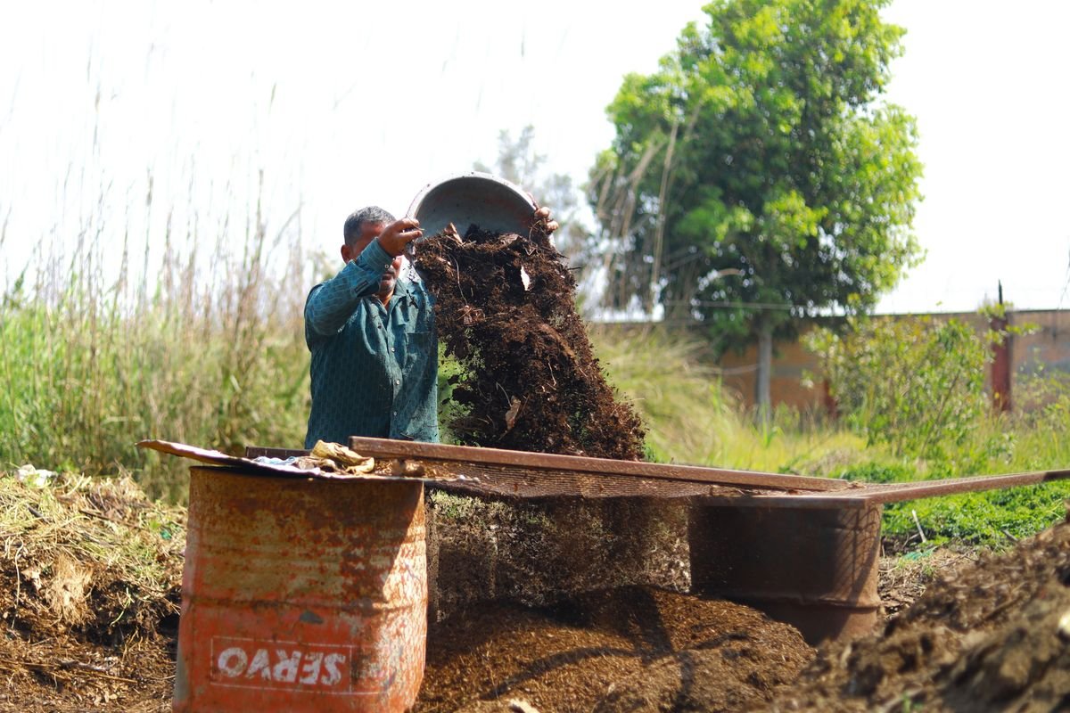 Can You Mulch a Vegetable Garden and How to Do It Right