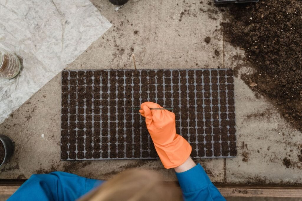 Simple Gardening Hacks That Will Save You Hundreds of Dollars Simple Gardening Hacks That Will Save You Hundreds of Dollars