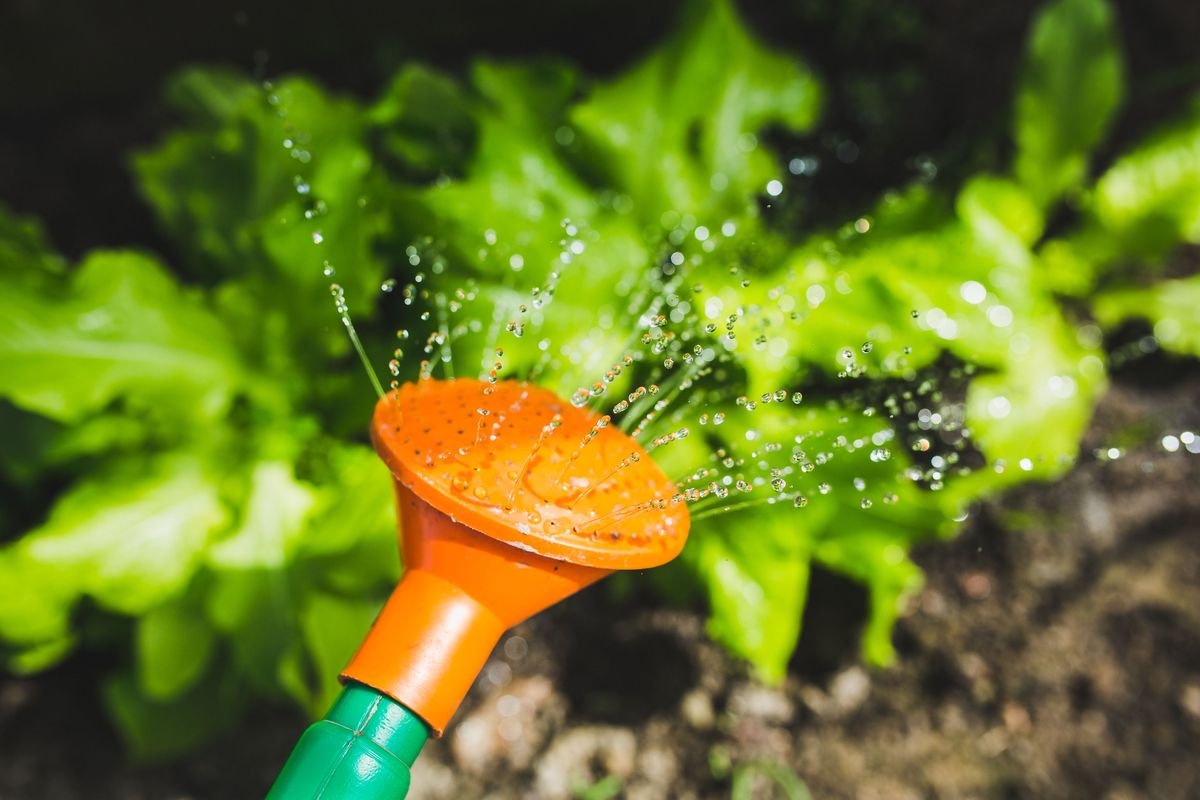 How to Add Sulfur to Soil Naturally
