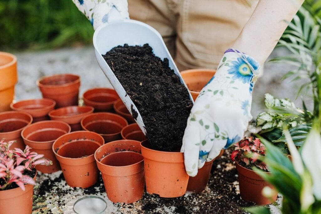 Can You Use Potting Soil in the Ground Can You Use Potting Soil in the Ground