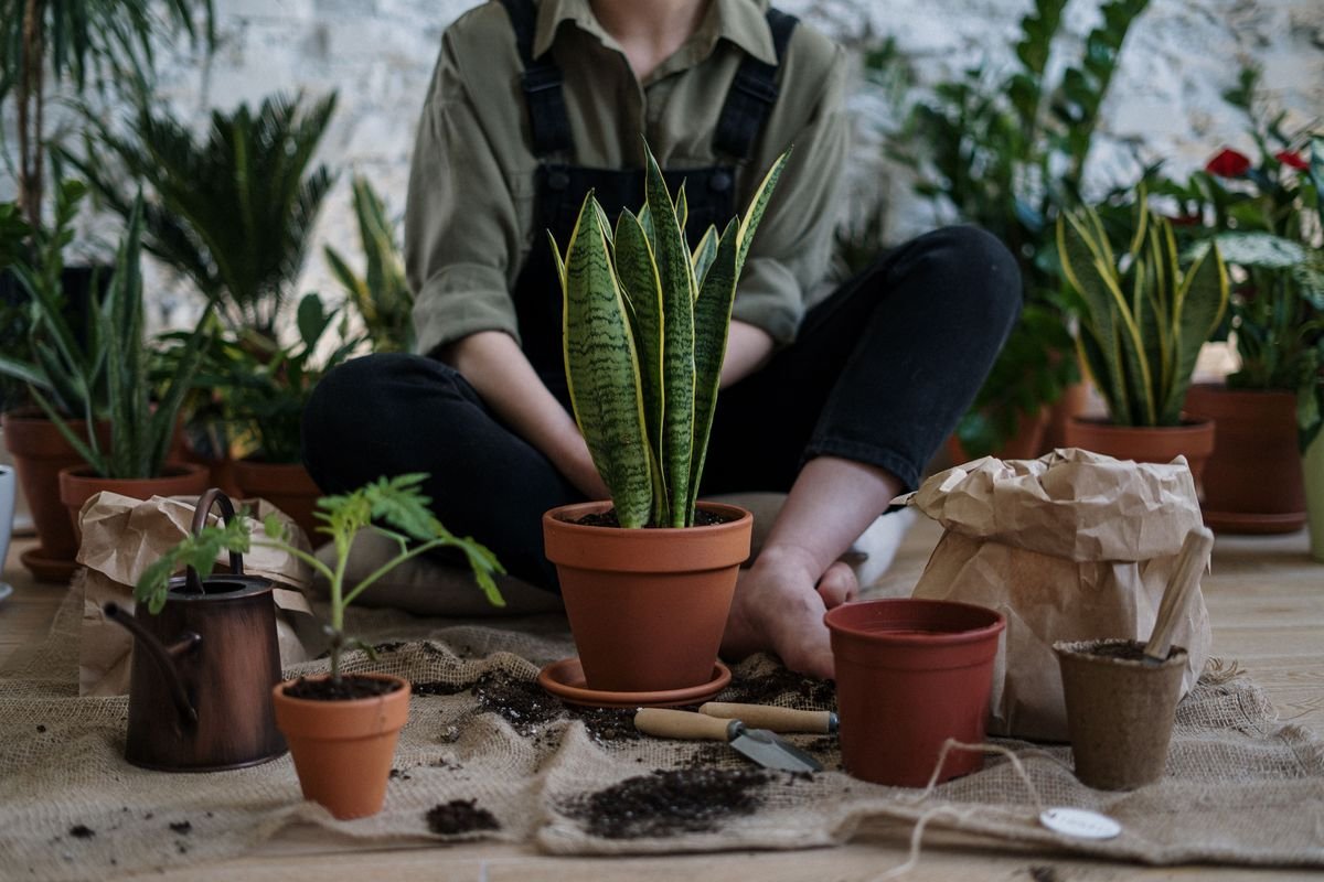Can You Use Potting Soil in the Ground