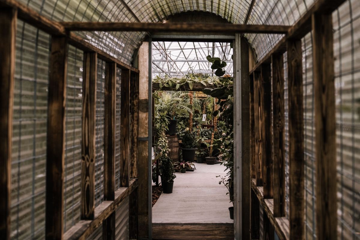 How to Keep Your Garden Thriving and Green All Year