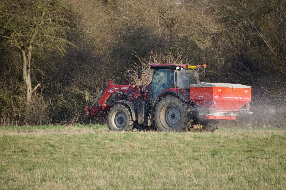 How to Add Calcium to Soil and Fix Deficiencies