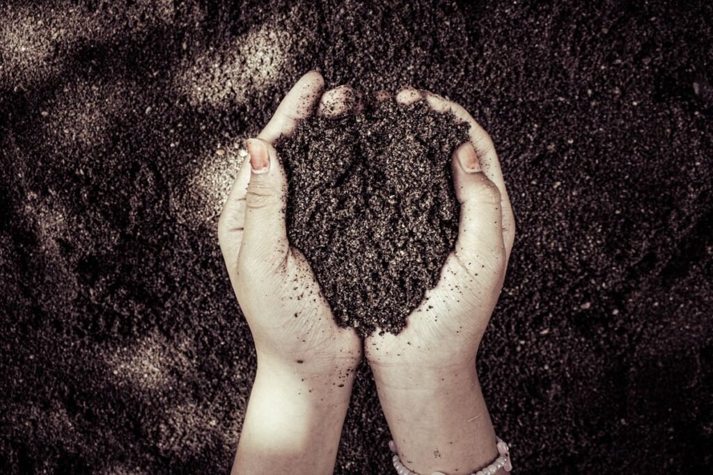 Complete Guide to Organic Soil Amendments for Healthier Plants Complete Guide to Organic Soil Amendments for Healthier Plants